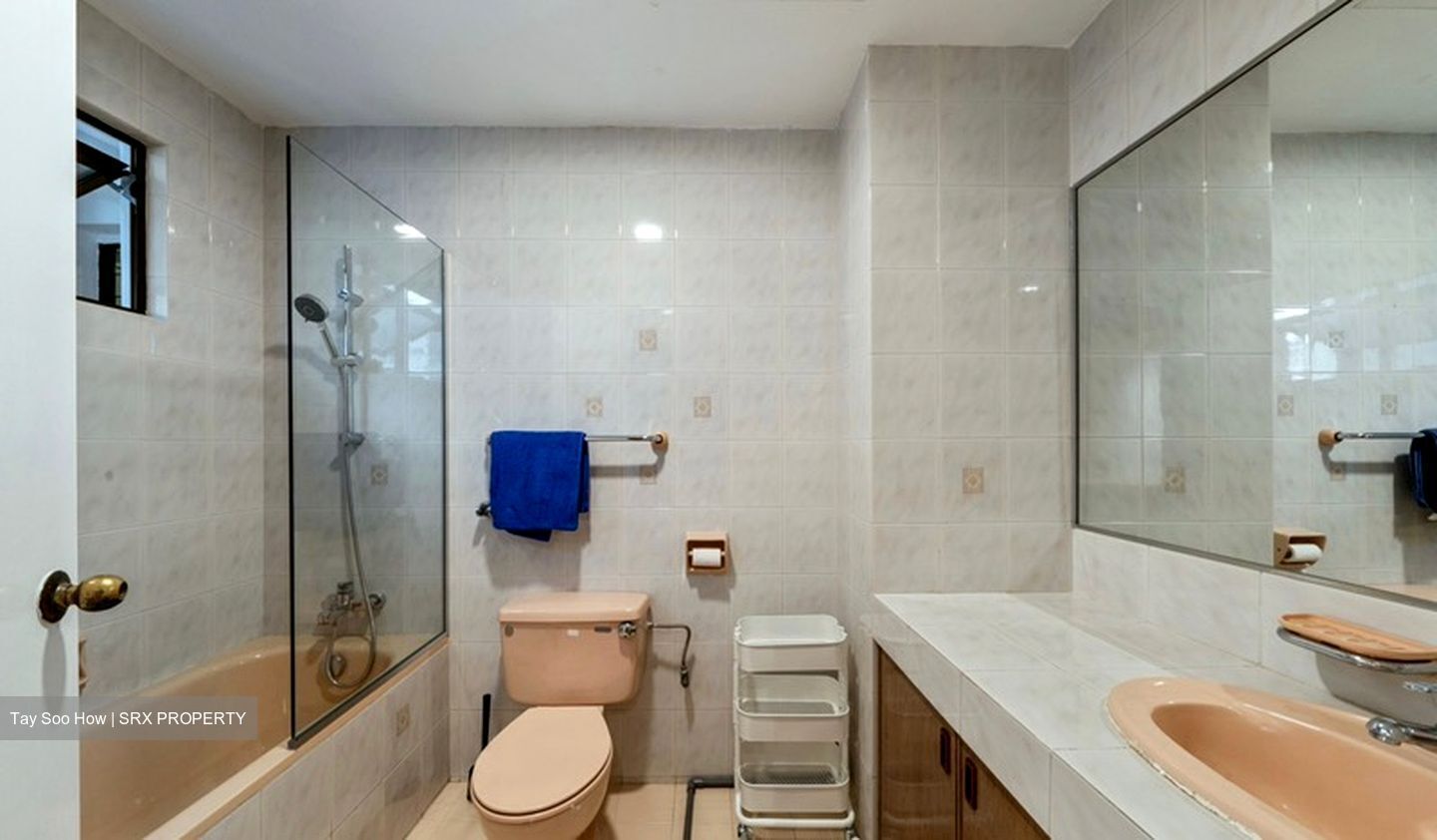 Balestier Regency (D12), Apartment #639472581